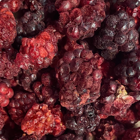 Crunchy Fruit Organic Blackberry