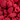 Crunchy Fruit Organic Raspberry