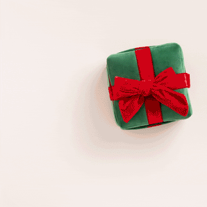 Interactief cadeau-snuffelspeeltje voor honden