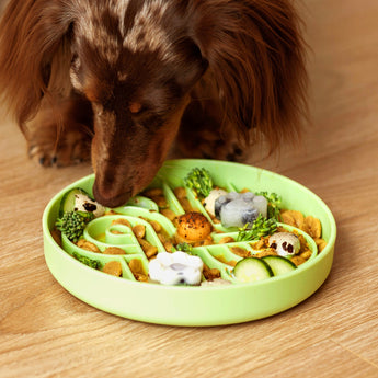 Official brand photo: Zoomies slow feeder bowl | Honeydew, view 3