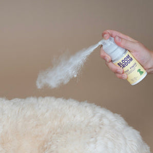 Bloom Groom Poof Powder Dry Shampoo + Detangler