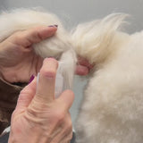 Applying Bloom Groom Poof Powder to a dog's coat