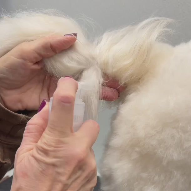 Applying Bloom Groom Poof Powder to a dog's coat