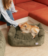 Small dog resting in a green corduroy CAFIDE Snozy dog bed