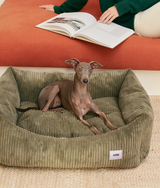 Italian greyhound sitting in a green corduroy CAFIDE Snozy dog bed