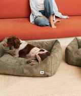 Dog lying in a green corduroy CAFIDE Snozy dog bed
