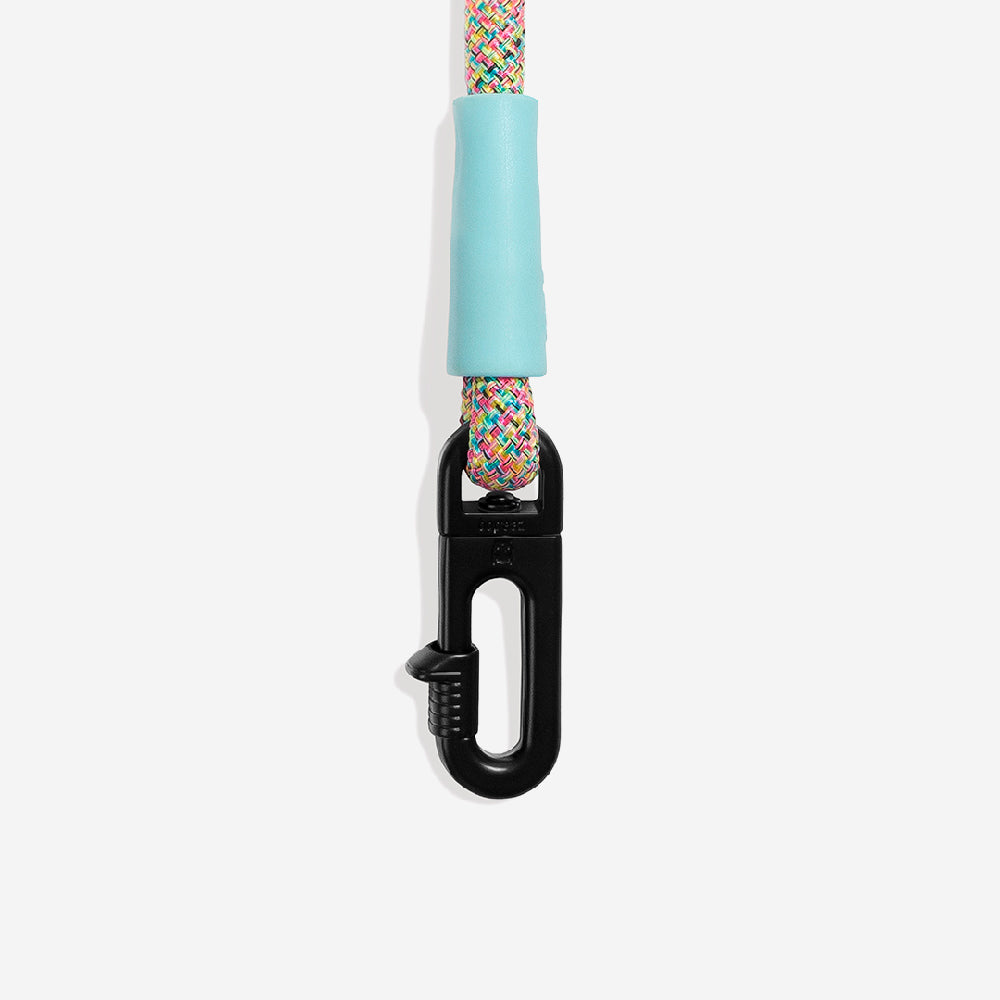 Handsfree Leash - Gravity