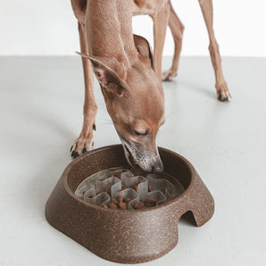 Eaty - Bioplastic Dog Feeding Bowl