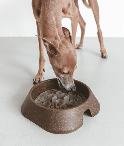 Eaty - Bioplastic Dog Feeding Bowl