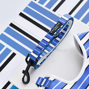 Blue Stripe Lead