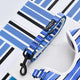 Blue Stripe Lead
