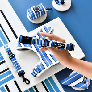 Blue Stripe Collar