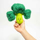 Broccoli-snuffelspeeltje