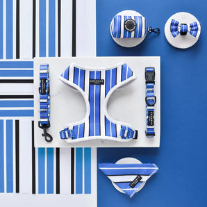 Blue Stripe Collar