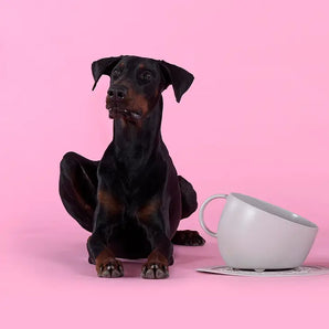 Cup & Plate Set - Taupe