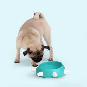 Boss Small - Aquamarine | White Spikes