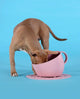 Cup & Plate Set - Pink