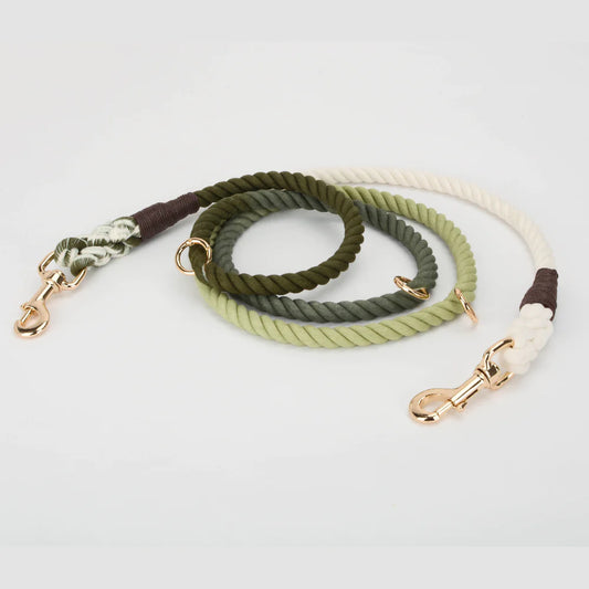 Ombré Double Ended Rope Lead - Pistachio Green