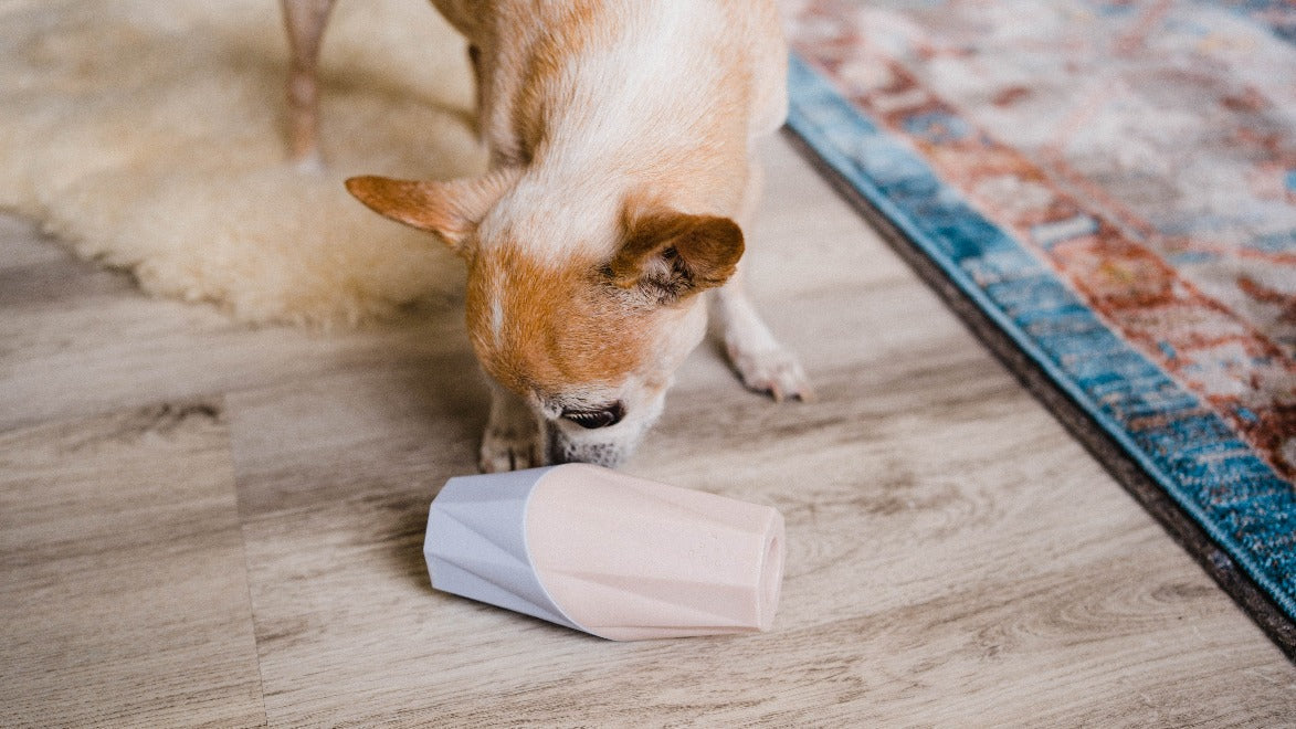 The Ubbe - Modern Treat Filler Chew Toy for Dogs