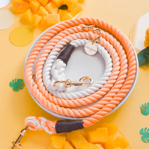 Ombré Double Ended Rope Lead - Mad for Mango