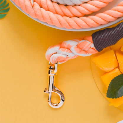 Ombré Double Ended Rope Lead - Mad for Mango