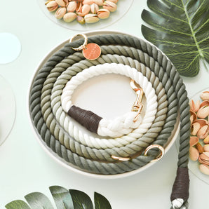 Ombré Double Ended Rope Lead - Pistachio Green