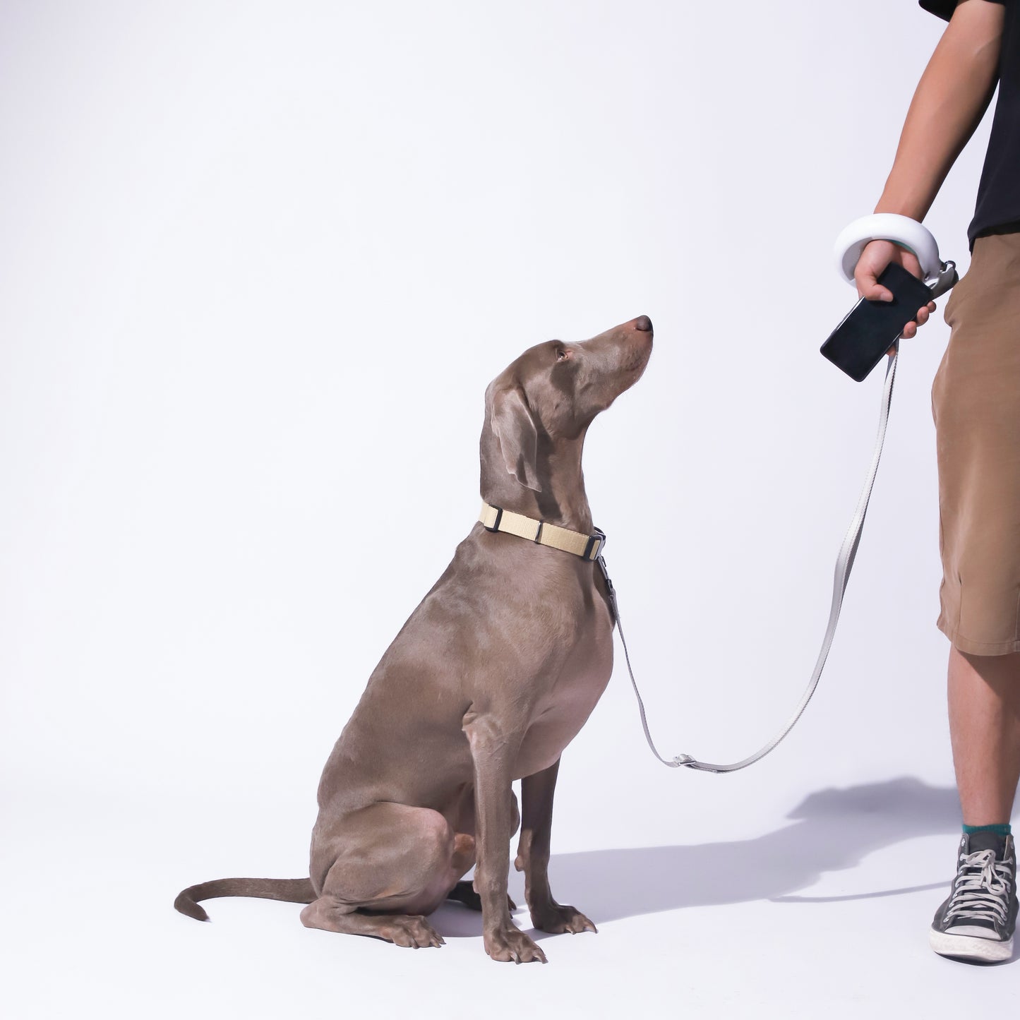 LED Dog Leash With Flashlight