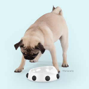 Boss Nano - White | Black Studs