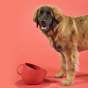 Cup & Plate Set - Red