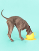 Cup & Plate Set - Yellow