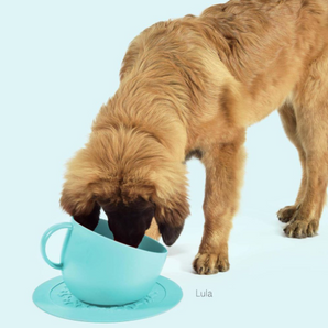 Cup & Plate Set - Aqua