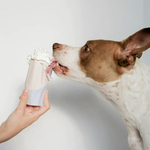 The Ubbe - Modern Treat Filler Chew Toy for Dogs
