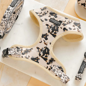 Ivory Tort Adjustable Neck Harness