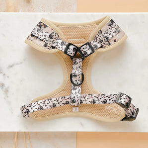 Ivory Tort Adjustable Neck Harness