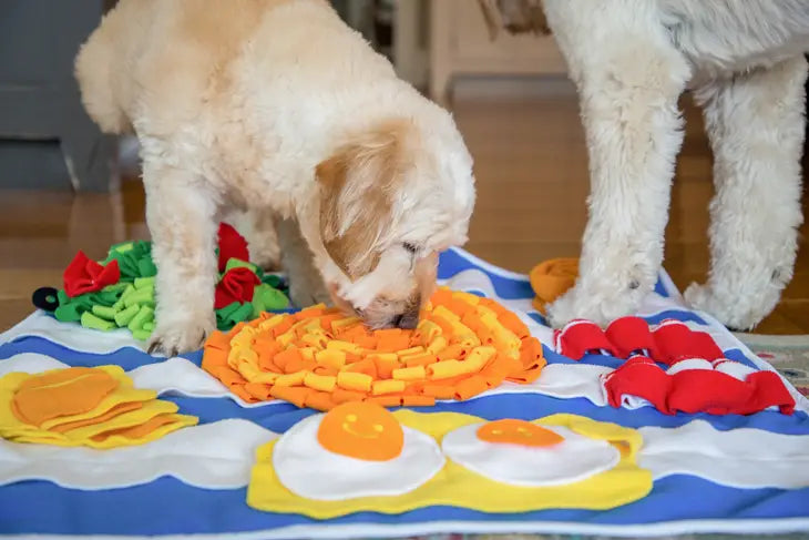 INJOYA, Pizza Snuffle Mat for Dogs & Cats
