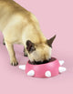 Boss Small - Pink | White Spikes