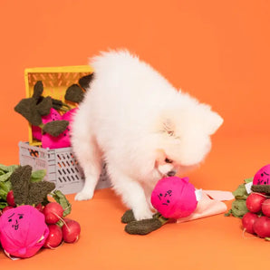 Radish Nosework Toy