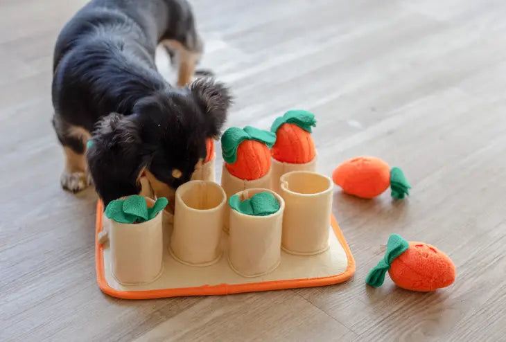 Carrot Patch Snuffle Toy