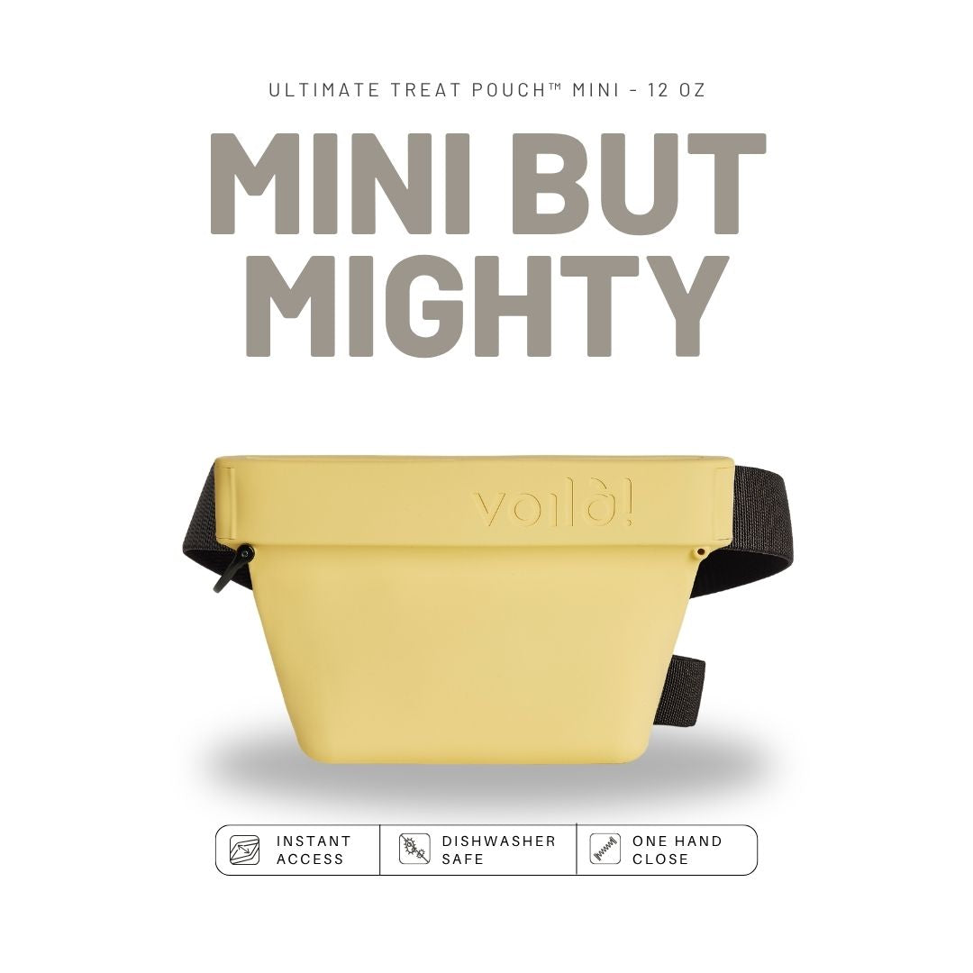 Voilà Mini treat pouch