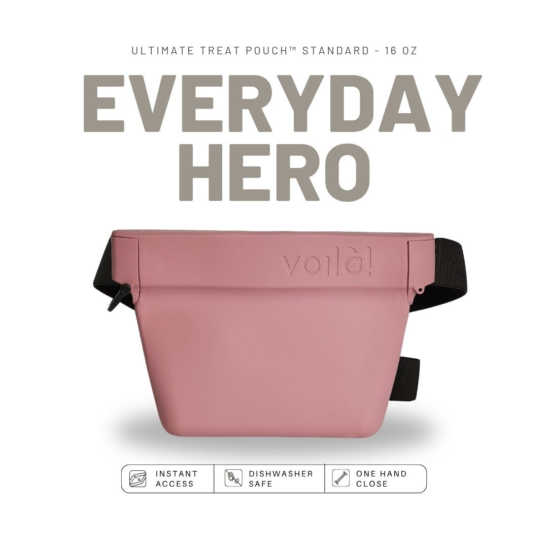 Voilà Standard treat pouch